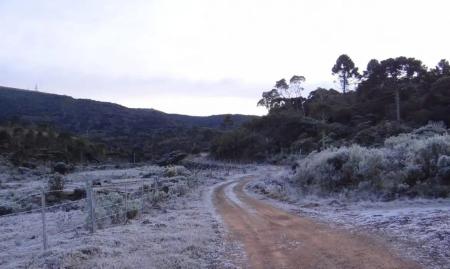 Foto mostra campo coberto de geada