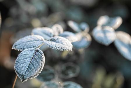 Em Minas Gerais, 134 cidades estão sob alerta de frio intenso