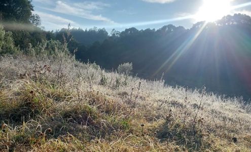 Fotos mostram geada em Monte Verde, distrito de Camanducaia (MG)