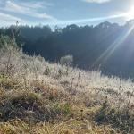 Frio: veja quais são as 139 cidades de MG que podem ter geada neste domingo
