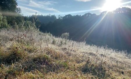 Fotos mostram geada em Monte Verde, distrito de Camanducaia (MG)