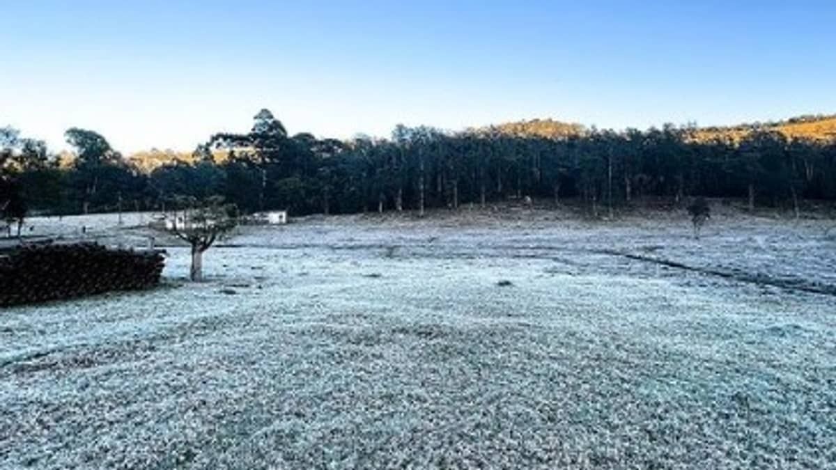 Onda de frio e geada: veja estados em alerta laranja e amarelo