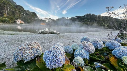 Morador registrou efeitos da geada na paisagem de Monte Verde (MG)