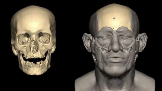 Uma reconstrução facial foi feita usando uma digitalização 3D do crânio do homem egípcio