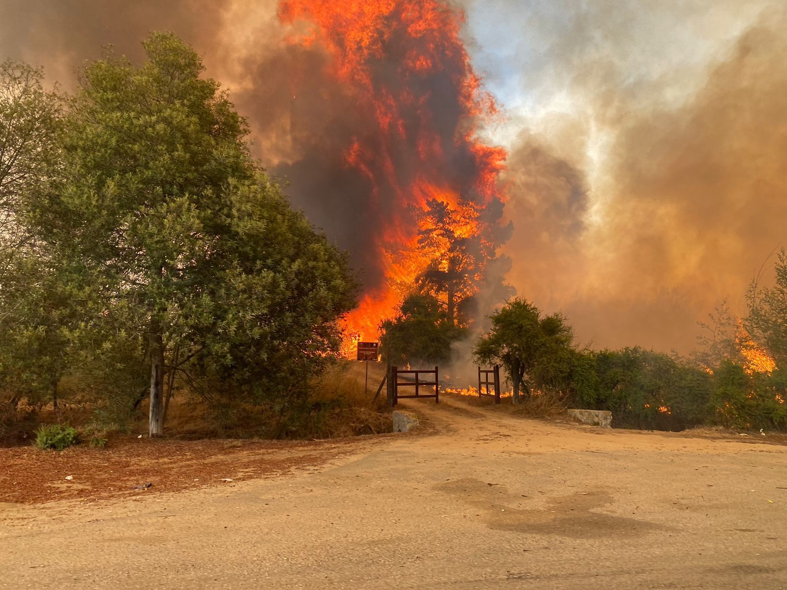 'Maior tragédia desde o terremoto de 2010', diz Boric sobre incêndios no Chile; veja imagens