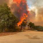 'Maior tragédia desde o terremoto de 2010', diz Boric sobre incêndios no Chile; veja imagens