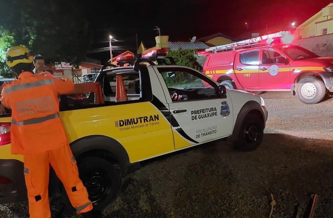 Bombeiros resgatam animal em risco de extinção no interior de Minas; confira