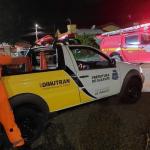 Bombeiros resgatam animal em risco de extinção no interior de Minas; confira