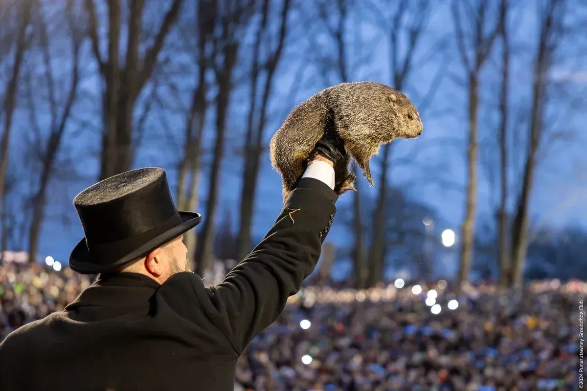 'Dia da Marmota': descubra significado e o 'impacto' nas previsões do tempo