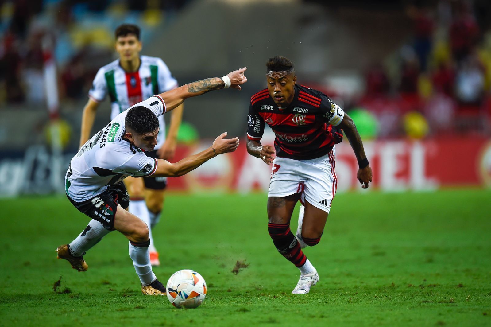 Palestino x Flamengo: horário e onde assistir ao vivo pela Copa Libertadores