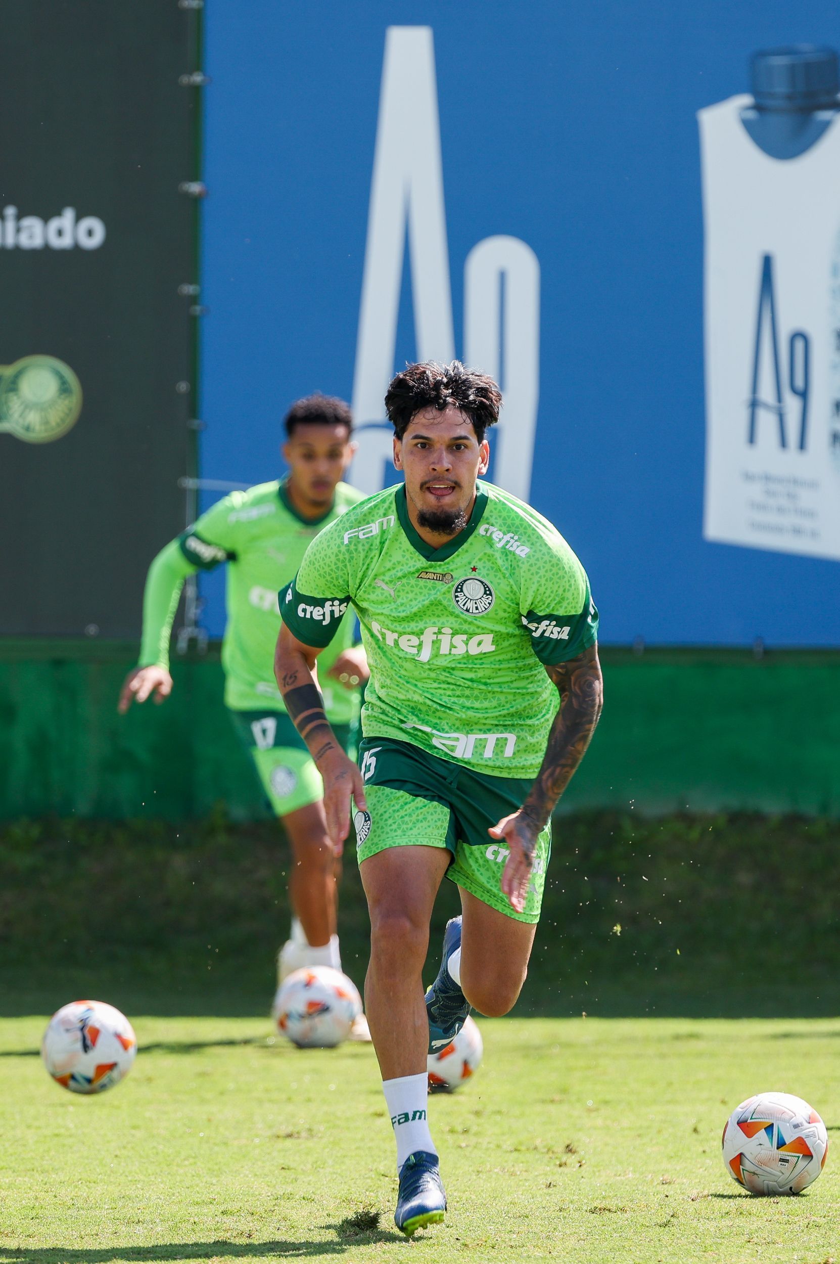 San Lorenzo x Palmeiras: horário e onde assistir ao vivo pela Copa Libertadores