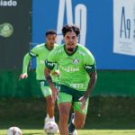 San Lorenzo x Palmeiras: horário e onde assistir ao vivo pela Copa Libertadores