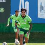 San Lorenzo x Palmeiras: horário e onde assistir ao vivo pela Copa Libertadores