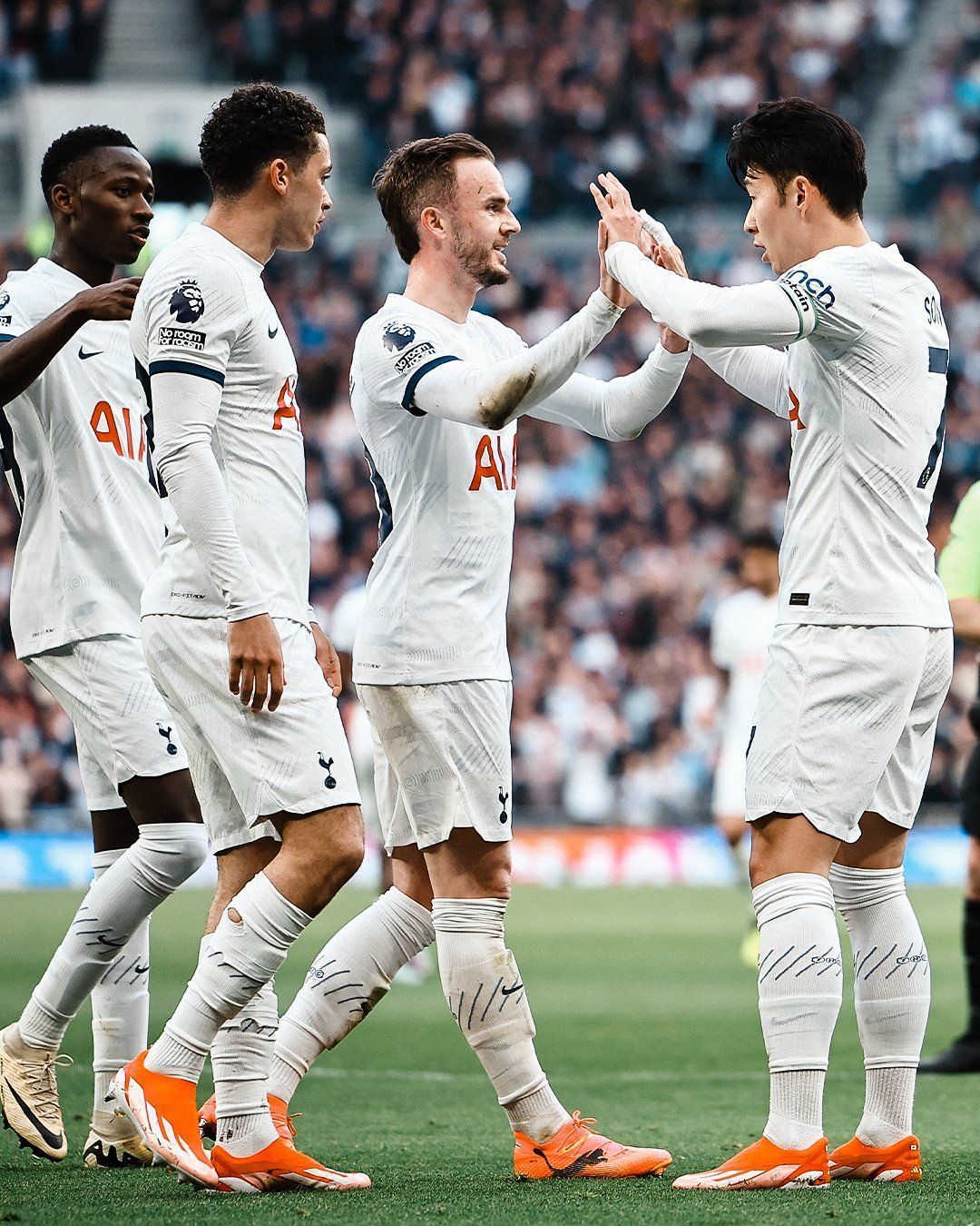 Newcastle x Tottenham: horário e onde assistir ao vivo pela Premier League