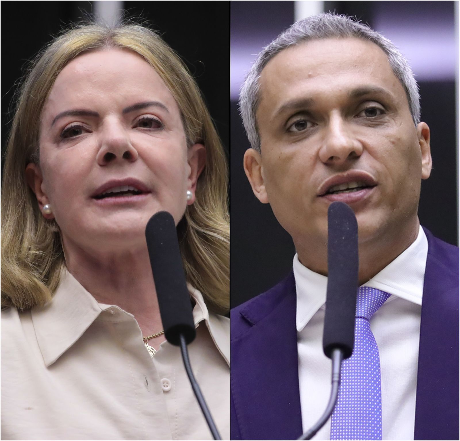Gleisi aciona STF contra Gustavo Gayer por comparação com prostituta
