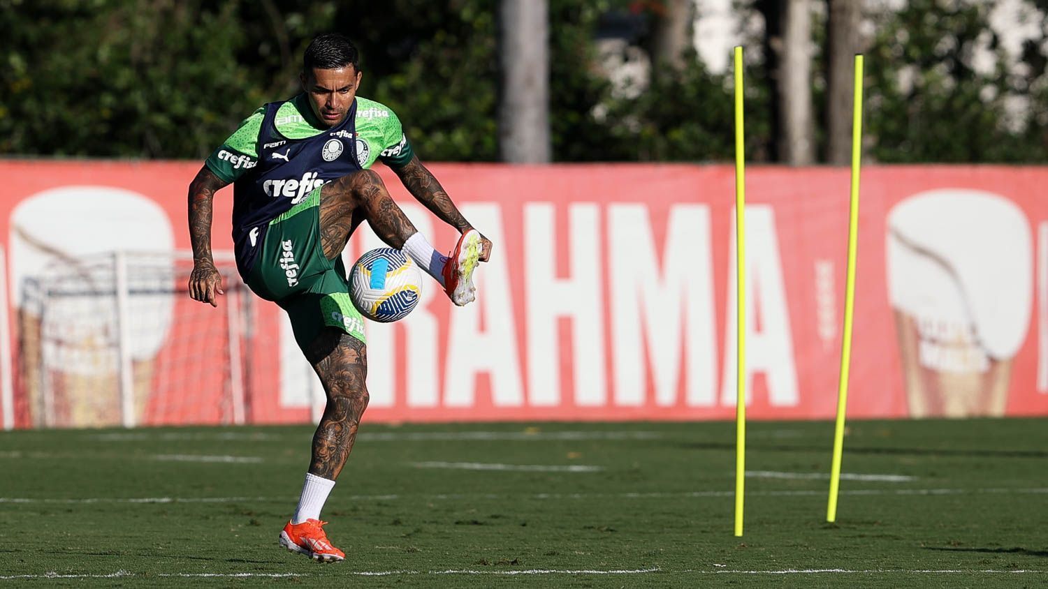 Palmeiras x Flamengo: horário e onde assistir ao vivo pelo Campeonato Brasileiro