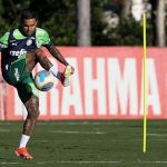 Palmeiras x Flamengo: horário e onde assistir ao vivo pelo Campeonato Brasileiro
