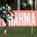Palmeiras x Flamengo: horário e onde assistir ao vivo pelo Campeonato Brasileiro