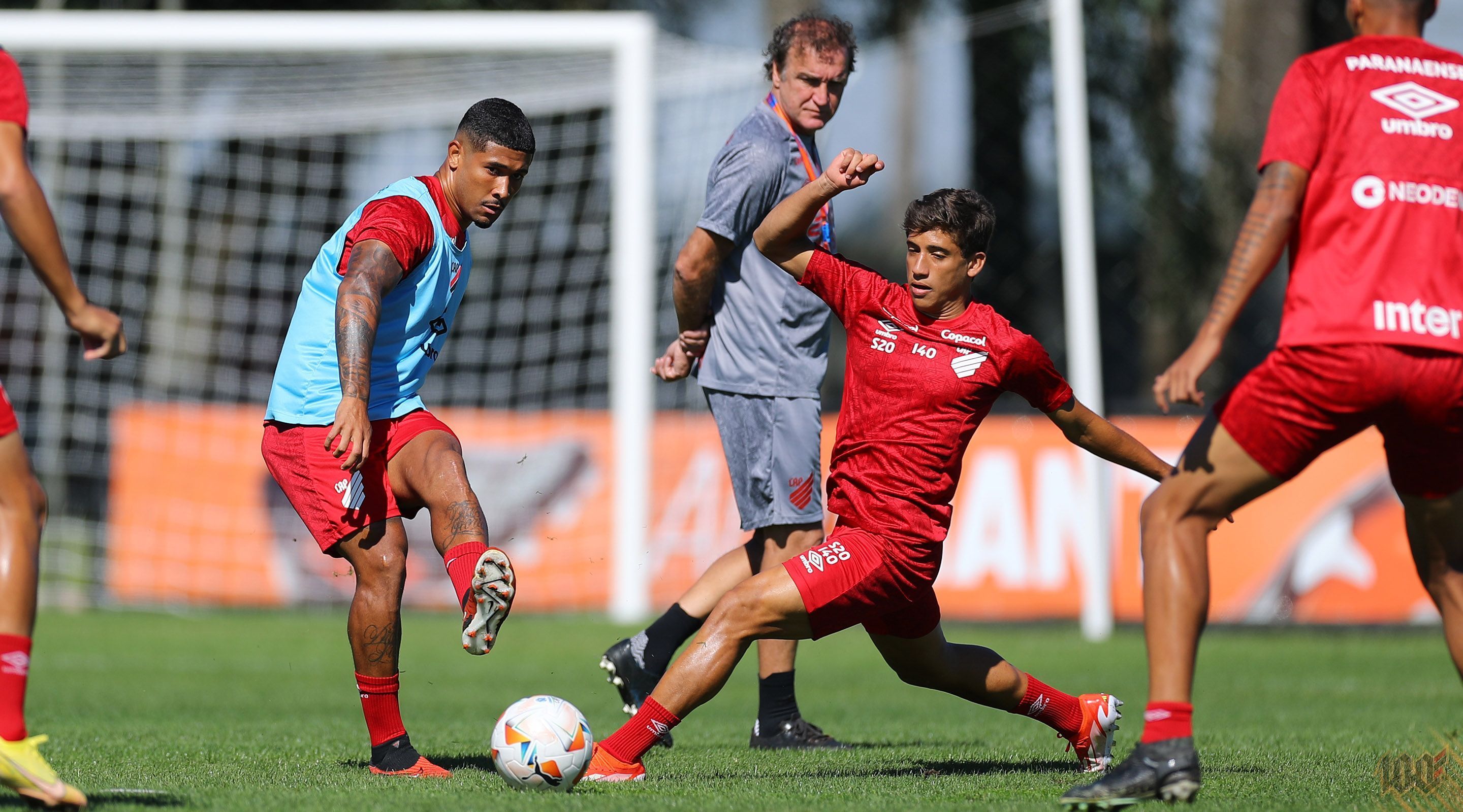 Danubio x Athletico-PR: horário e onde assistir ao vivo pela Copa Sul-Americana