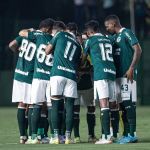 Goiás no Brasileirão: artilheiro, destaque, reforços e palpites para 2023