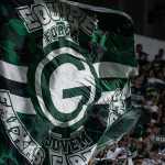 Goiás no mercado da bola: contratações, saídas e negociações