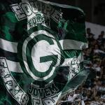 Goiás no mercado da bola: contratações, saídas e negociações