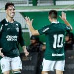 Goiás x Palmeiras: onde assistir ao jogo pelo Campeonato Brasileiro