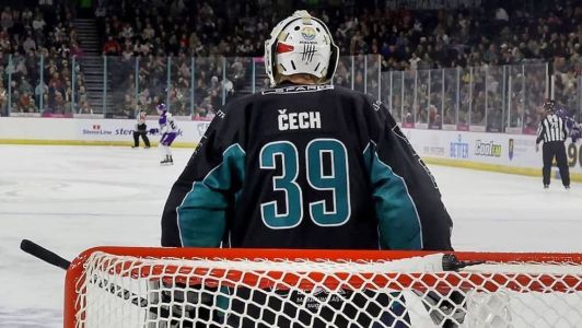 Goleiro jogou minutos finais em jogo de hóquei no Gelo