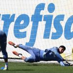 Goleiro retorna ao Palmeiras após experiência na Europa