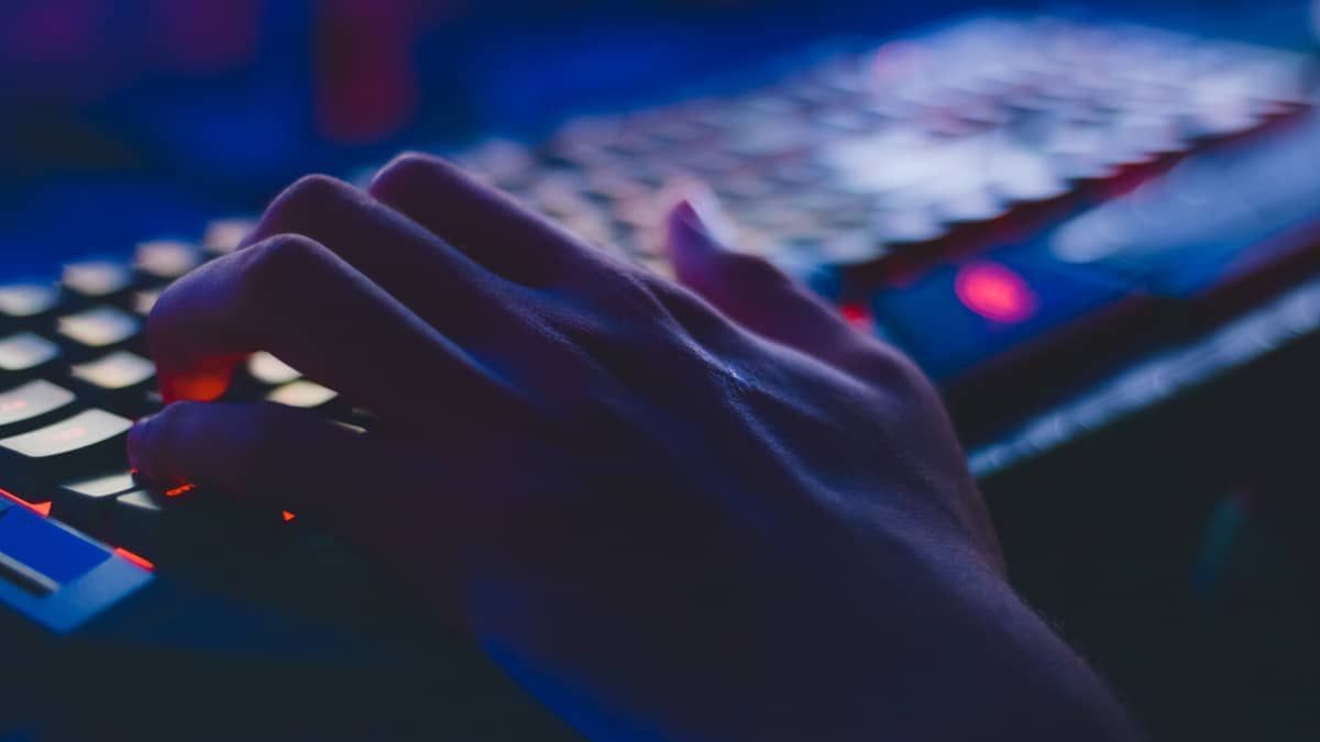 Compartilhamento limitado da Netflix pode levar a golpes na dark web