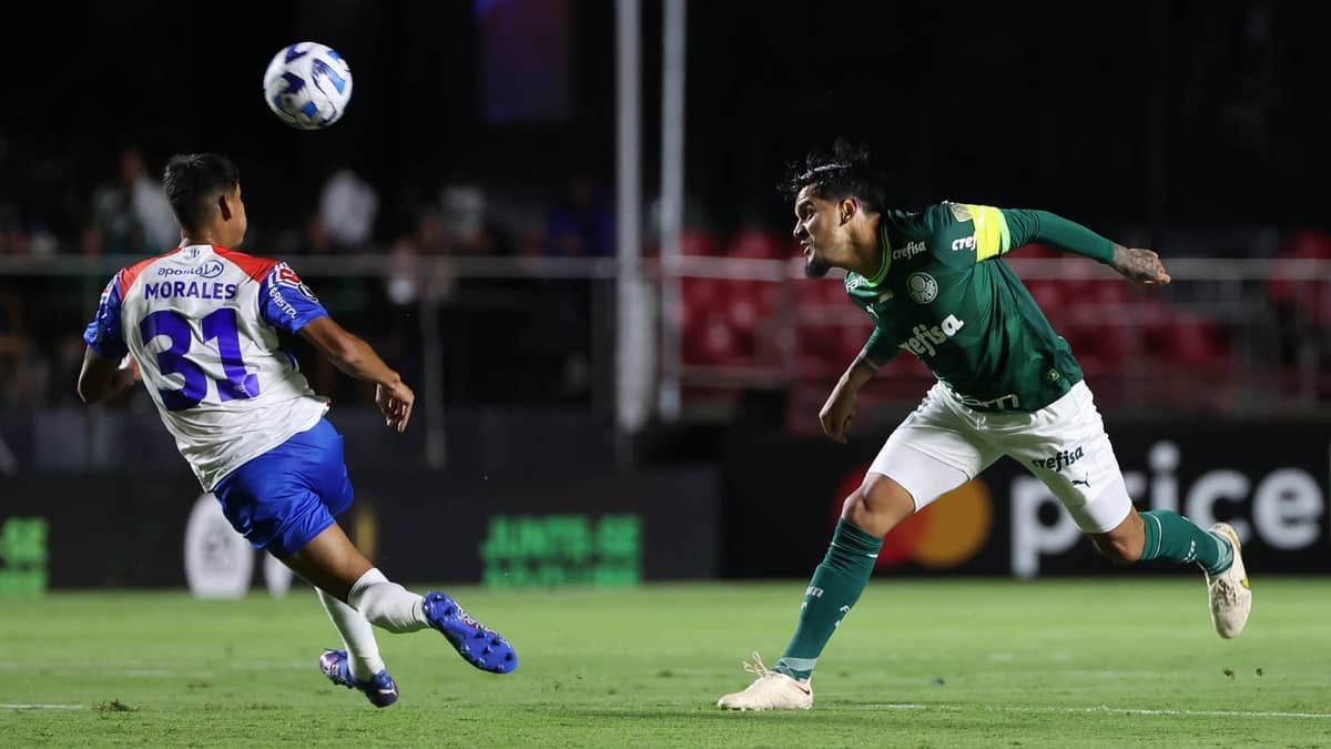 Gómez vê Palmeiras desorganizado, mas celebra vitória pela Libertadores