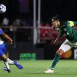 Gómez vê Palmeiras desorganizado, mas celebra vitória pela Libertadores
