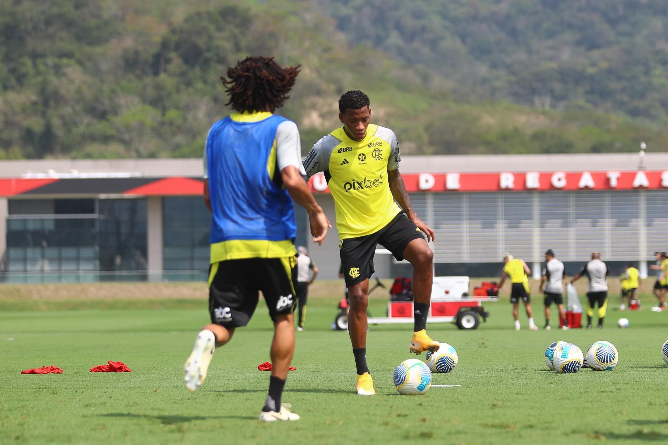 Plata elogia intensidade de treinos do Flamengo e diz como jogará com Tite