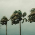 Flórida entra em alerta de furacão com aproximação da tempestade Idalia