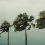 Flórida entra em alerta de furacão com aproximação da tempestade Idalia