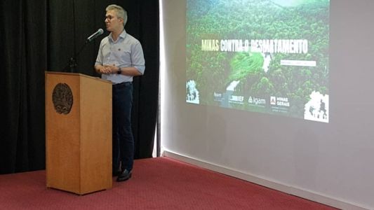 Governador Romeu Zema afirmou que ação do estado contra o desmatamento precisa ser mais rápida