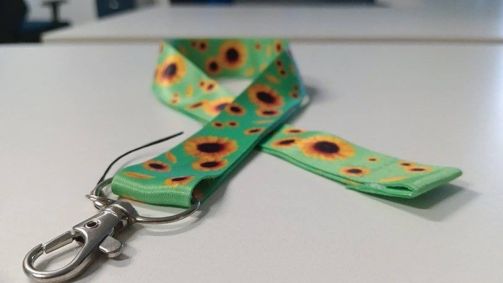 Governo sanciona lei que formaliza uso de fita com girassóis como símbolo de doenças ocultas; entenda.