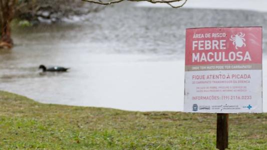 Governo SP faz alerta sobre febre maculosa