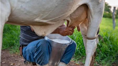 Governo vai proteger o setor