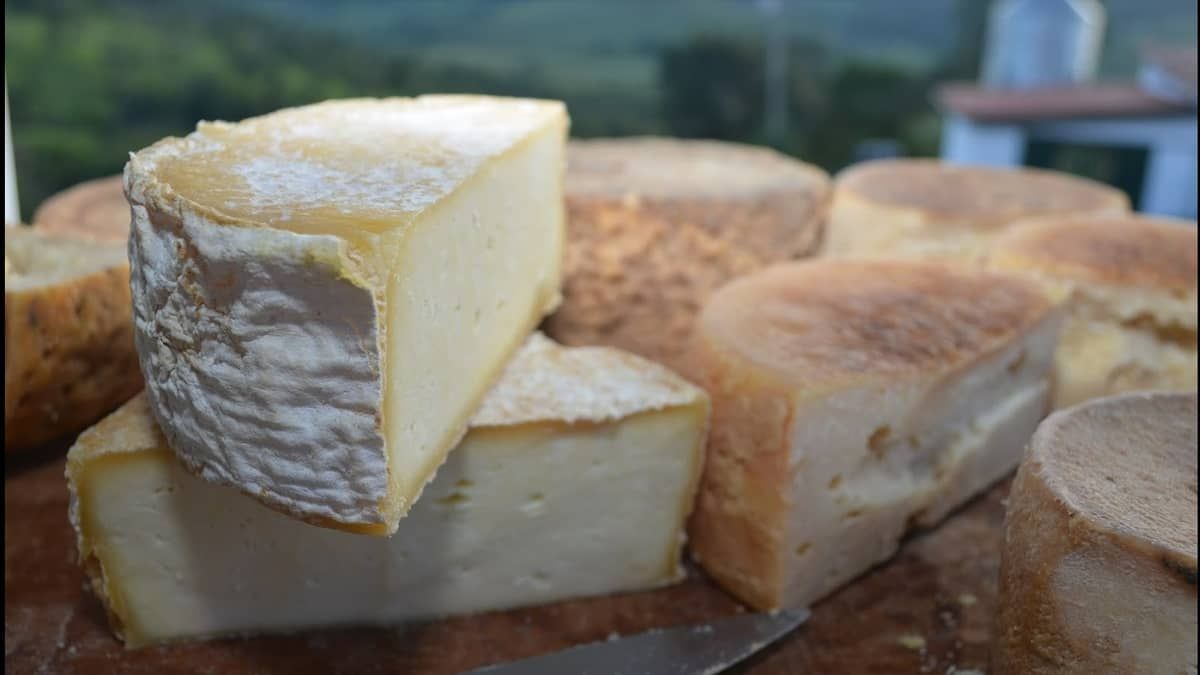 Queijo Minas Artesanal: produtores comemoram conquistas do produto, marginalizado durante anos