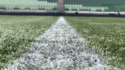 Grama do Allianz Parque, estádio do Palmeiras