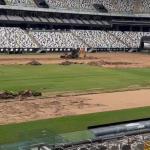 Atlético inicia retirada de grama natural da Arena MRV