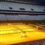Atlético estuda troca do gramado da Arena MRV para 2024: 'É uma tendência'