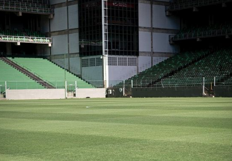 América: veja como está o gramado do Independência antes de estreia pelo Mineiro
