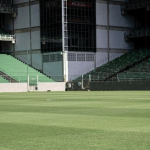 América: veja como está o gramado do Independência antes de estreia pelo Mineiro