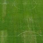 Atlético x América: veja como está o gramado do Mineirão na semana do clássico