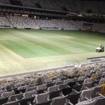 CEO do Atlético elenca cuidados e projeta gramado da Arena MRV em 'ótimas condições'; veja fotos