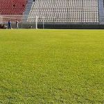 Cruzeiro x Cuiabá: veja como está o gramado da Arena do Jacaré