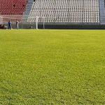 Cruzeiro x Cuiabá: veja como está o gramado da Arena do Jacaré