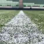 Palmeiras diz que só joga no Allianz se grama melhorar e fala em interdição da arena